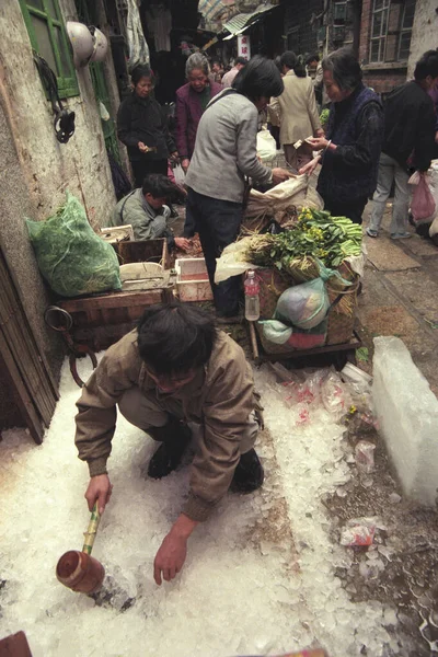 Αγορά Θαλασσινών Και Ζώων Στην Πόλη Guangzhou Στην Επαρχία Guangdong — Φωτογραφία Αρχείου