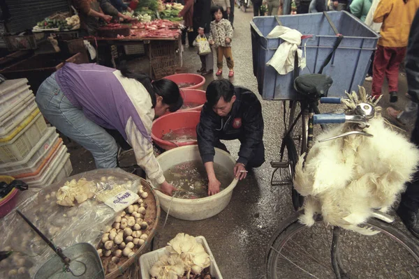 Mercado Mariscos Animales Ciudad Guangzhou Provincia Guangdong China Este Asia — Foto de Stock