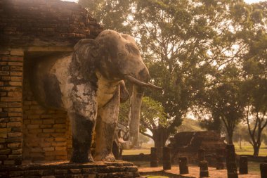 Tayland 'ın Provinz Sukhothai kentindeki Sukhothai' deki tarihi parktaki Wat Chang Lom Tapınağı. Tayland, Sukhothai, Kasım 2019