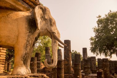 Tayland 'ın Provinz Sukhothai kentindeki Sukhothai' deki tarihi parktaki Wat Chang Lom Tapınağı. Tayland, Sukhothai, Kasım 2019