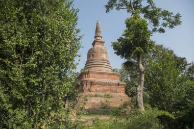 Wat Ton Chan, Tayland 'daki Sukhothai, Provinz Sukhothai' deki tarihi parkta. Tayland, Sukhothai, Kasım 2019