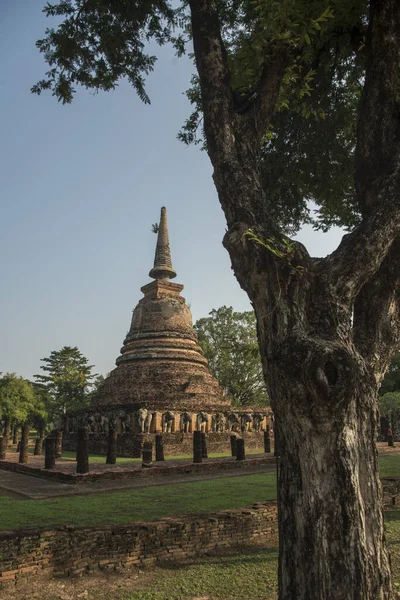 Tayland 'ın Provinz Sukhothai kentindeki Sukhothai' deki tarihi parktaki Wat Chang Lom Tapınağı. Tayland, Sukhothai, Kasım 2019