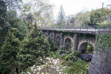 Portekiz 'in Madeira Adası' ndaki Funchal şehir merkezinin kuzeyindeki Monte kasabasındaki Parque Municipal do Monte. Portekiz, Madeira, Nisan 2018