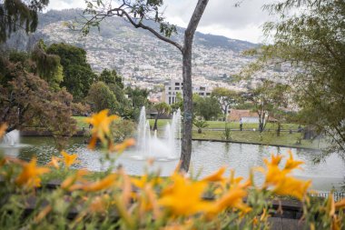 Portekiz 'in Madeira Adası' ndaki Funchal şehrindeki Santa Catarina parkında. Portekiz, Madeira, Nisan 2018