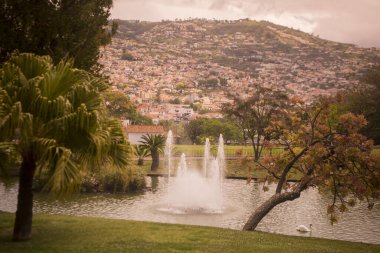 Portekiz 'in Madeira Adası' ndaki Funchal şehrindeki Santa Catarina parkında. Portekiz, Madeira, Nisan 2018