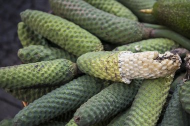 Portekiz 'in Madeira Adası' ndaki Funchal 'ın merkezindeki Mercado dos Lavradores' de tropik Philodendron meyveleri. Portekiz, Madeira, Nisan 2018