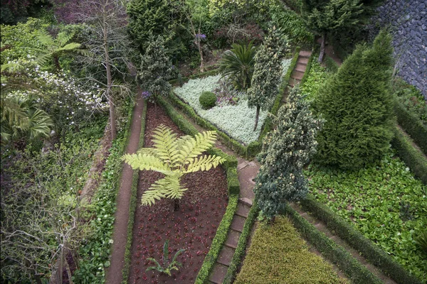 Parque Municipal Monte Orașul Monte Nord Centrul Orașului Funchal Insula — Fotografie, imagine de stoc