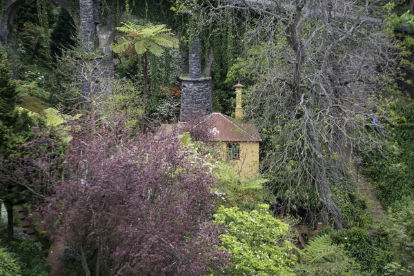 House Town Monte North City Centre Funchal Island Madeira Portugal — Stock Photo, Image