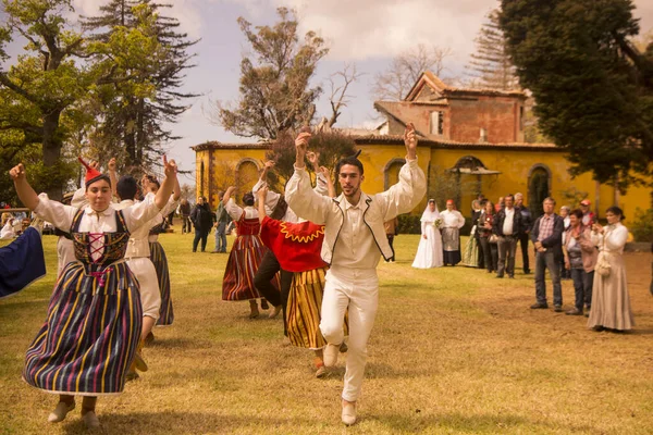 Portekiz Madeira Adası Ndaki Funchal Şehir Merkezine Yakın Monte Deki — Stok fotoğraf