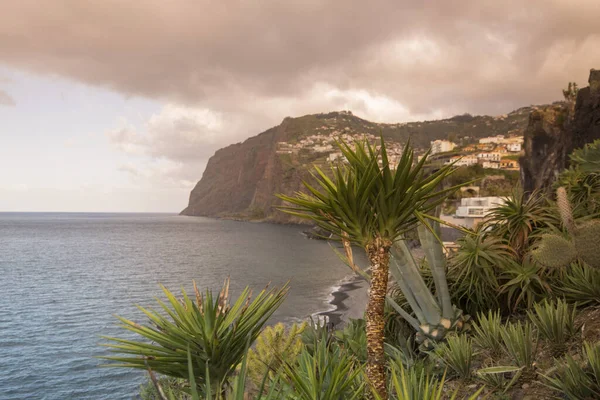Naturen Och Landskapet Vid Kusten Staden Camara Lobos Väster Funchal — Stockfoto