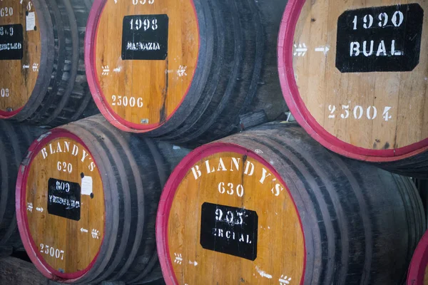 Botte Vino Nella Cantina Dell Azienda Vinicola Madeira Blandys Nel — Foto Stock