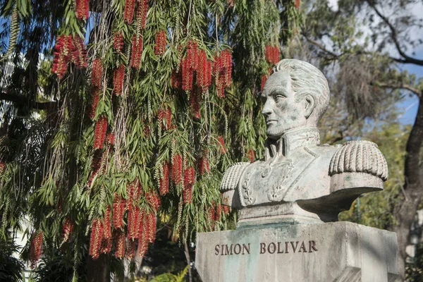 Estatua Simón Bolívar Jardim Municipal Avenida Arriaga Centro Ciudad Funchal — Foto de Stock