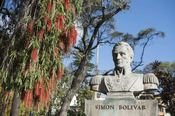 Estatua Simón Bolívar Jardim Municipal Avenida Arriaga Centro Ciudad Funchal — Foto de Stock