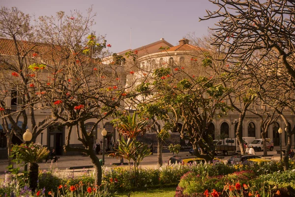 Avenida Arriaga Centru Funchalu Ostrově Madeira Portugalska Portugalsko Madeira Duben — Stock fotografie