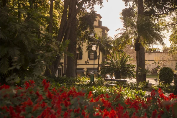 Jardim Municipal Vid Avenida Arriaga Centrum Funchal Madeira Portugal Portugal — Stockfoto