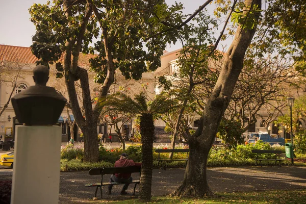 Jardim Város Avenida Arriagában Funchal Belvárosában Portugál Madeira Szigeten Portugália — Stock Fotó