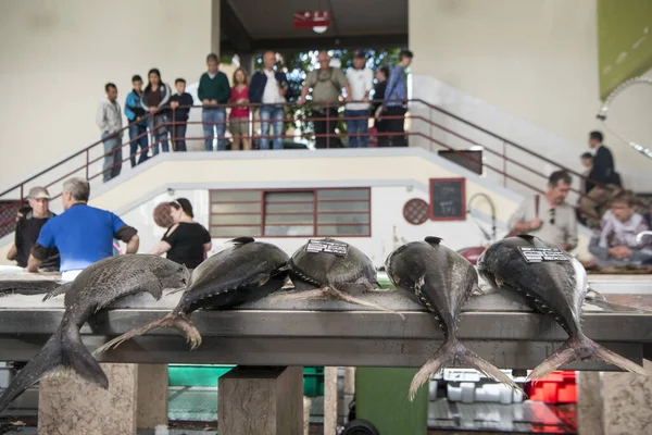 Atún Mercado Pescado Mercado Dos Lavradores Centro Ciudad Funchal Isla —  Fotos de Stock