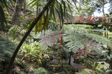 Portekiz 'in Madeira Adası' ndaki Funchal şehrindeki Jardim Tropikal ya da Tropikal Bahçe. Portekiz, Madeira, Nisan 2018