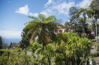 Portekiz 'in Madeira Adası' ndaki Funchal şehir merkezinin kuzeyinde Monte 'de bir ev. Portekiz, Madeira, Nisan 2018