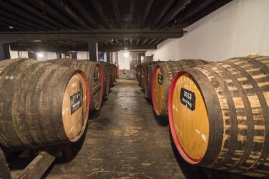 Madeira şarap mahzenindeki şarap fıçısı. Portekiz 'in Madeira Adası' ndaki Funchal 'ın merkezindeki Blandys şarap şirketi. Portekiz, Madeira, Nisan 2018