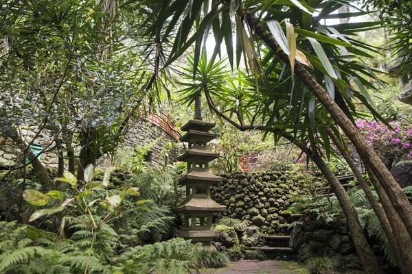 Konst Och Kultur Jardim Tropical Eller Tropical Garden Funchals Centrum — Stockfoto