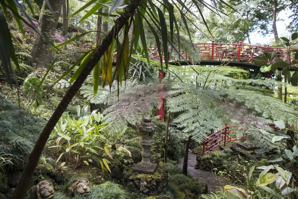 Jardim Tropical Tropical Garden City Centre Funchal Island Madeira Portugal — Stock Photo, Image