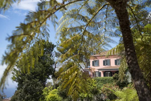 Une Maison Monte Nord Centre Ville Funchal Sur Île Madère — Photo