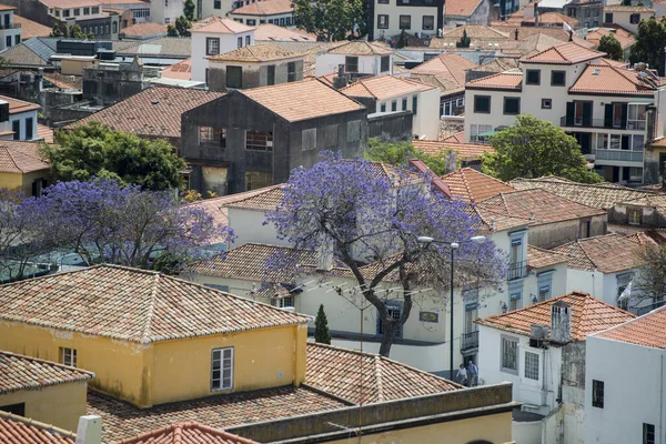 Centrum Funchalu Noci Ostrově Madeira Portugalsku Portugalsko Madeira Duben 2018 — Stock fotografie