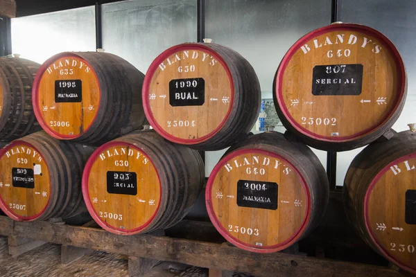 ポルトガルのマデイラ島のフンシャルの街の中心部にあるブランディスのマデイラワイン会社のワインセラーのワイン樽 ポルトガル マデイラ 2018年4月 — ストック写真