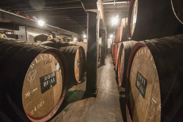 Vinný Sud Vinném Sklepě Madeirské Vinařské Společnosti Blandys Centru Funchalu — Stock fotografie