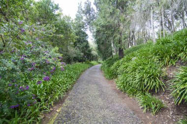 Portekiz 'in Madeira Adası' ndaki şehir merkezi Funchal yakınlarındaki Monte 'deki Emperior Gardens' ın yeniden açılışı üzerine kurulan bahçeler. Portekiz, Madeira, Nisan 2018