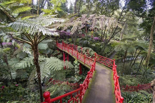 Arte Cultura Nel Jardim Tropical Tropical Garden Nel Centro Della — Foto Stock