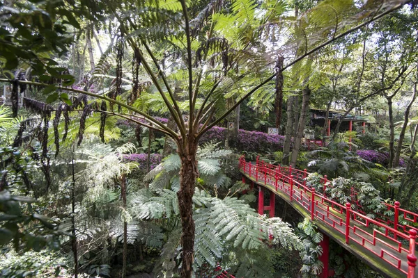 Art Culture Jardim Tropical Tropical Garden City Centre Funchal Island — Stock Photo, Image
