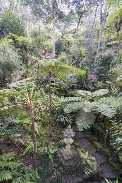 Seni Dan Budaya Taman Tropis Jardim Atau Tropis Pusat Kota — Stok Foto