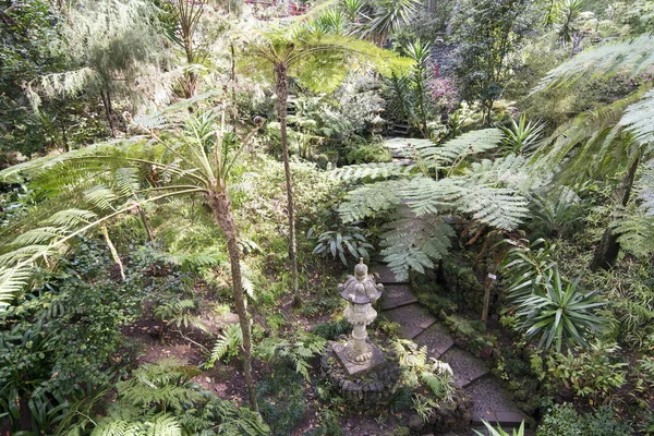 Művészet Kultúra Jardim Trópusi Vagy Trópusi Kertben Funchal Belvárosában Portugál — Stock Fotó