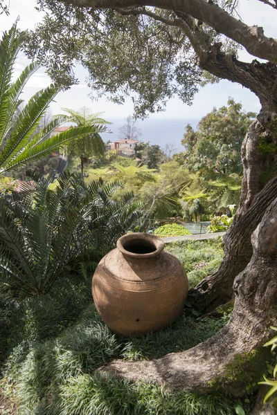 Konst Och Kultur Jardim Tropical Eller Tropical Garden Funchals Centrum — Stockfoto