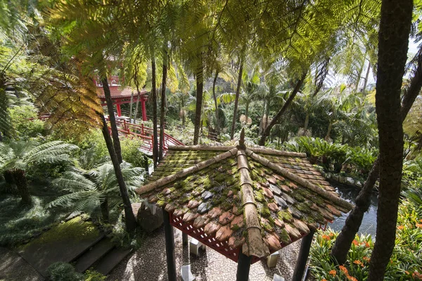 Arte Cultura Nel Jardim Tropical Tropical Garden Nel Centro Della — Foto Stock