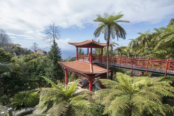 Umění Kultura Tropické Nebo Tropické Zahradě Jardim Centru Funchalu Ostrově — Stock fotografie