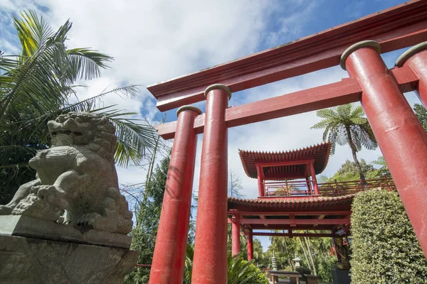 Sztuka Kultura Jardim Tropical Lub Tropical Garden Centrum Funchal Maderze — Zdjęcie stockowe