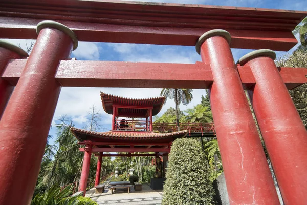 Sztuka Kultura Jardim Tropical Lub Tropical Garden Centrum Funchal Maderze — Zdjęcie stockowe