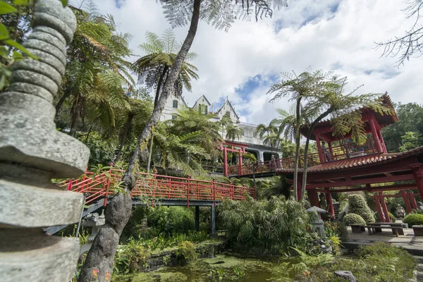 Művészet Kultúra Jardim Trópusi Vagy Trópusi Kertben Funchal Belvárosában Portugál — Stock Fotó