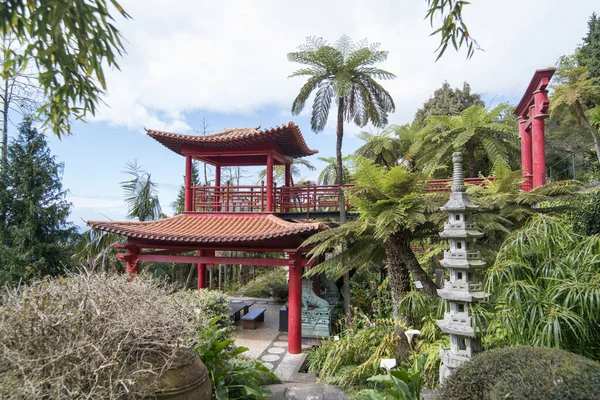 Arte Cultura Jardín Tropical Tropical Jardín Centro Ciudad Funchal Isla —  Fotos de Stock