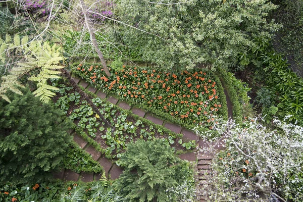 Parque Municipal Monte Staden Monte Norr Funchals Centrum Madeira Portugal — Stockfoto