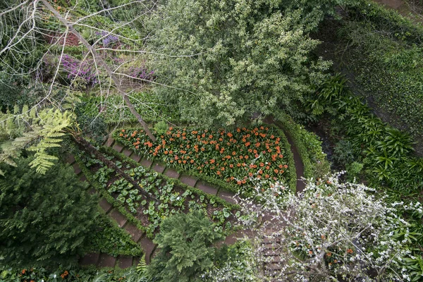 Parque Municipal Monte Městě Monte Severně Centra Města Funchal Ostrově — Stock fotografie