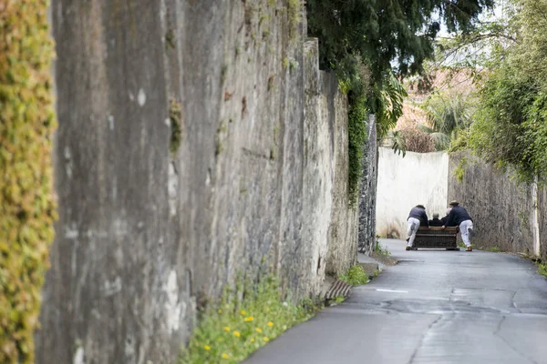 Traditionell Monte Släde Väg Från Monte Till Funchal Funchals Centrum — Stockfoto