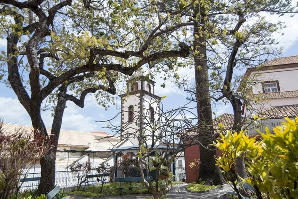 Kyrkan Sao Pedro Funchals Centrum Madeira Portugal Portugal Madeira April — Stockfoto