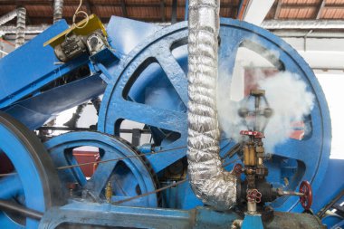 Portekiz 'in Madeira Adası' ndaki doğu Madeira sahilindeki Porto da Cruz 'daki Rum Fabrikası' nda işçi. Portekiz, Madeira, Nisan 2018