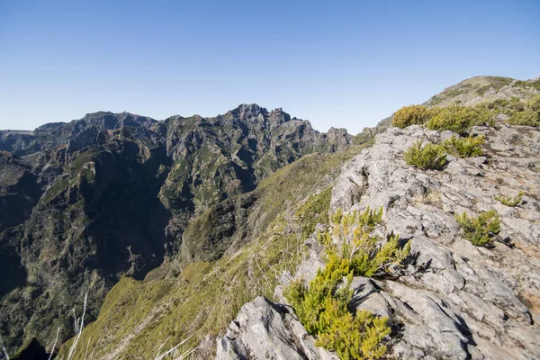 Portekiz Madeira Adası Ndaki Madeira Ulusal Parkı Nın Peyzaj Dağları — Stok fotoğraf