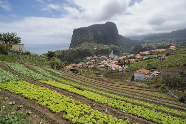 Landskapet Och Staden Faial Vid Kusten Norra Madeira Madeira Portugal — Stockfoto