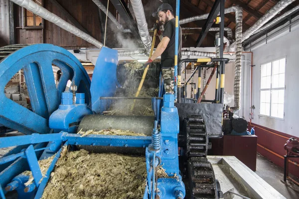 Worker Rum Factory Porto Cruz Coast East Madeira Island Madeira — Stock Photo, Image